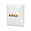 Home Two Wire Audio Indoor Wall Socket