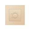 Hotel Home Use Fan Speed Wall Switch