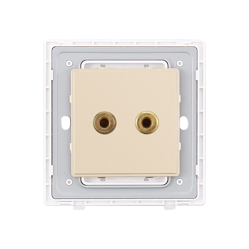 Commercial Durable Two Wire Audio Socket