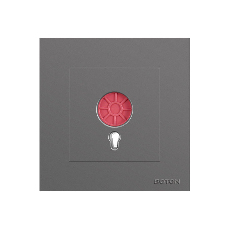 Grey Colored Finished Emergency Fire Wall Switch